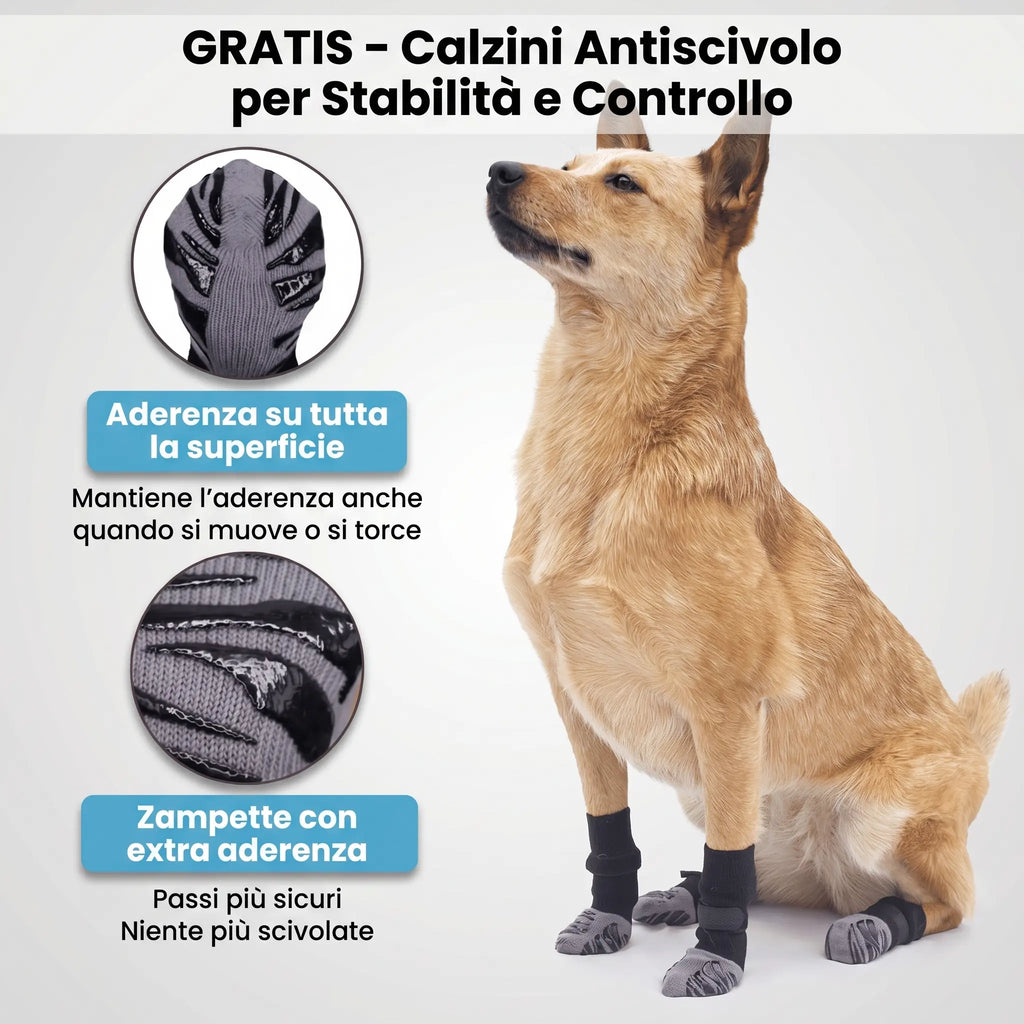 Calzini Antiscivolo per Mobilità e Comfort